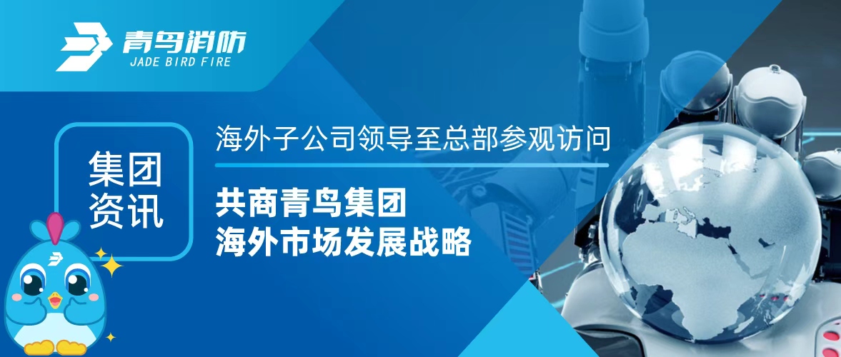 集团资讯 | 外洋子公司向导至总部旅行会见，，，，，共商青鸟集团外洋市场生长战略