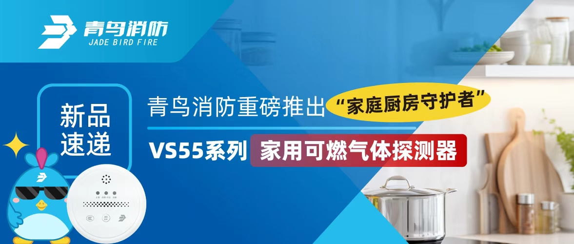 新品速递 | pg麻将胡了免费模拟器重磅推出&ldquo;家庭厨房守护者&rdquo;&mdash;&mdash;VS55系列家用可燃气体探测器